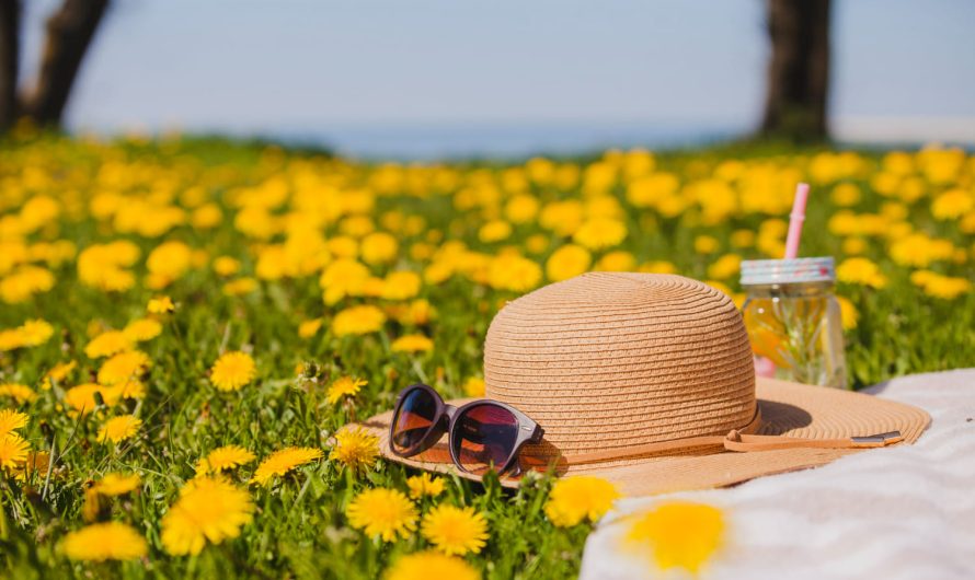 Останні дні літа: що зірки підготували для вашого знаку зодіаку